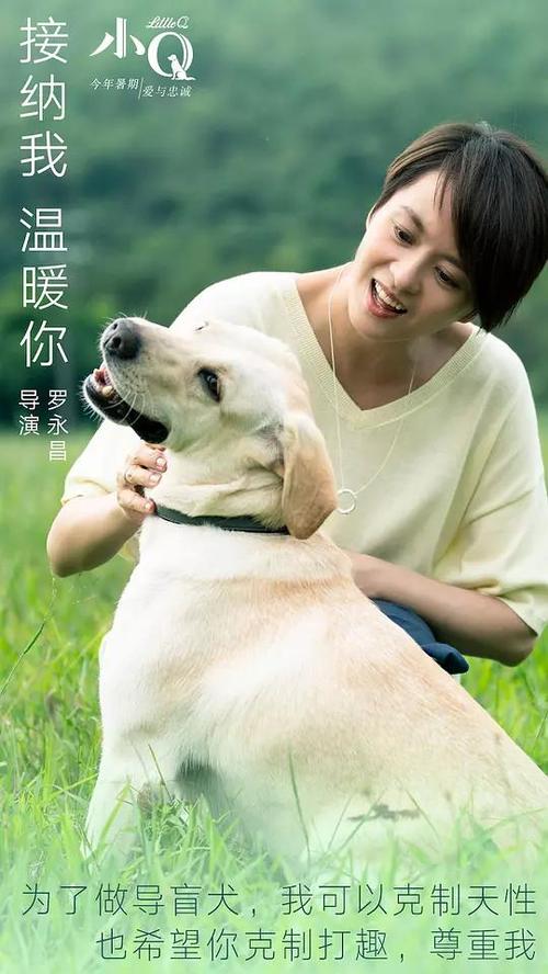 台湾驾驶证样本资料